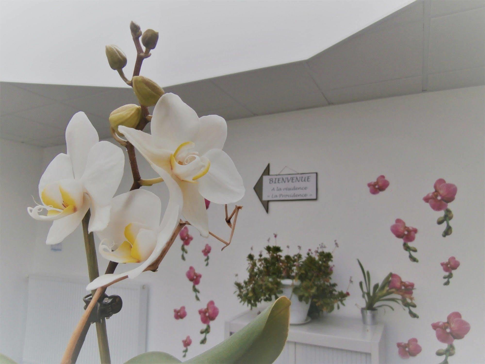 Residence La Providence Zenao ลีซีเยอ ภายนอก รูปภาพ